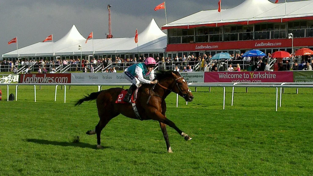 Frankel yarış atı fotoğrafı