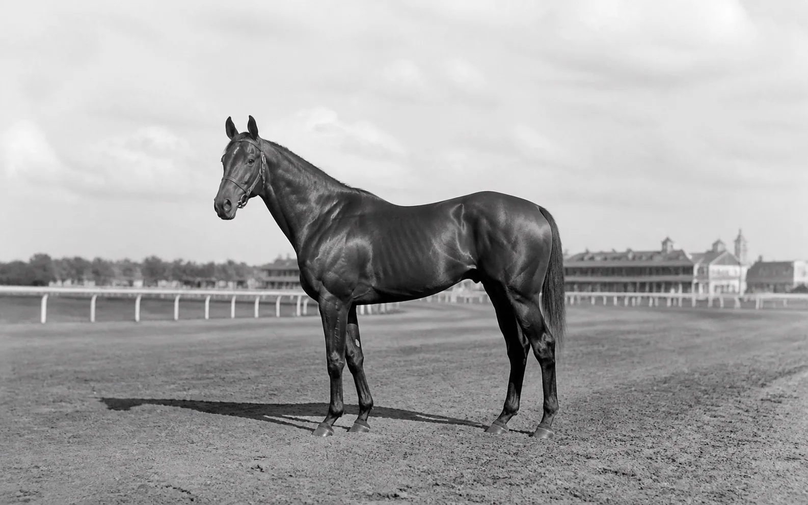 War Admiral için temsili görsel