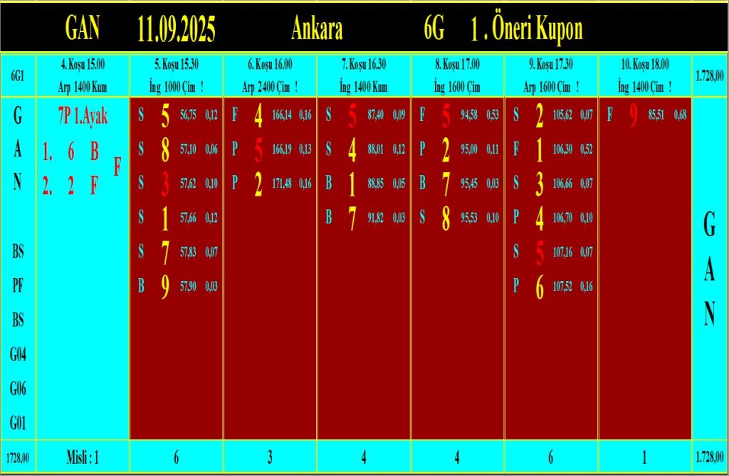 Ankara GAN analiz çıktısı
