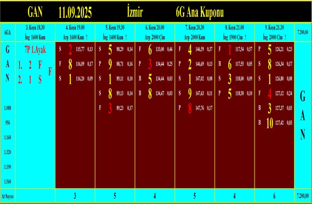 İzmir GAN analiz çıktısı