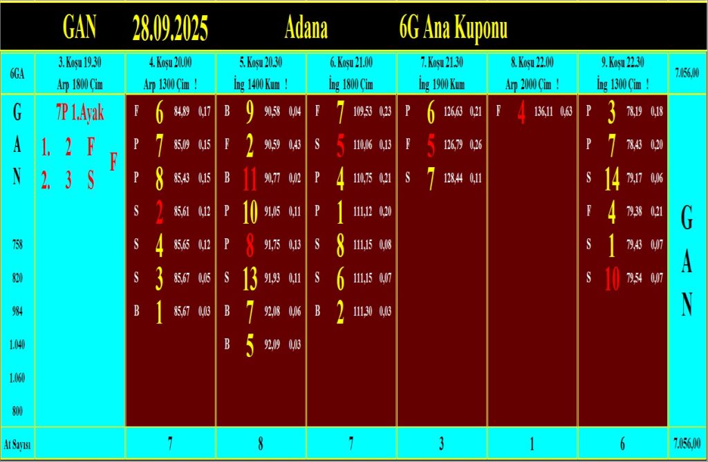 Adana GAN analiz çıktısı