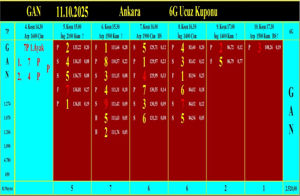 Ankara GAN analiz çıktısı