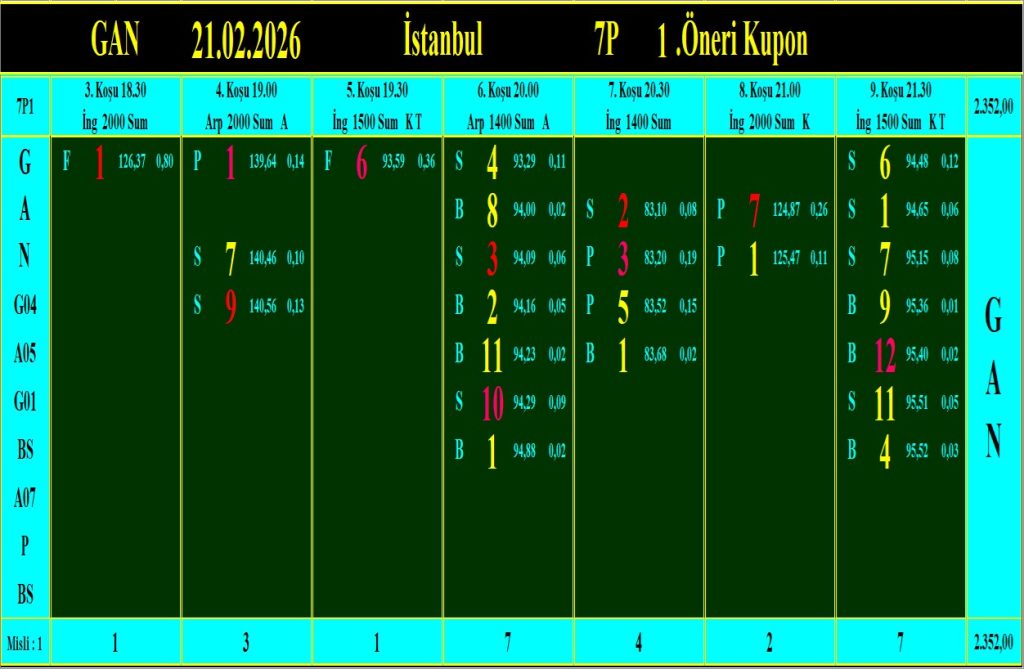 İstanbul GAN analiz çıktısı
