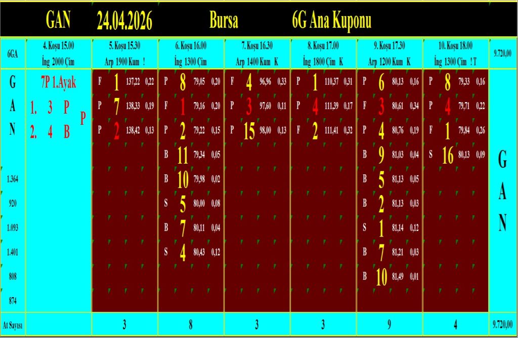 Bursa GAN analiz çıktısı