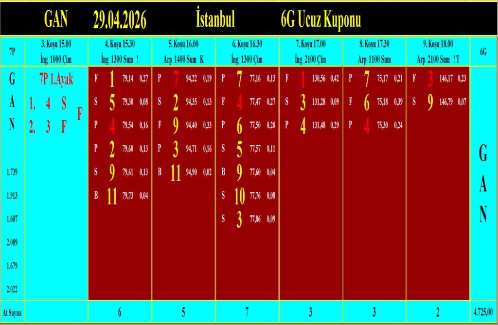İstanbul GAN analiz çıktısı