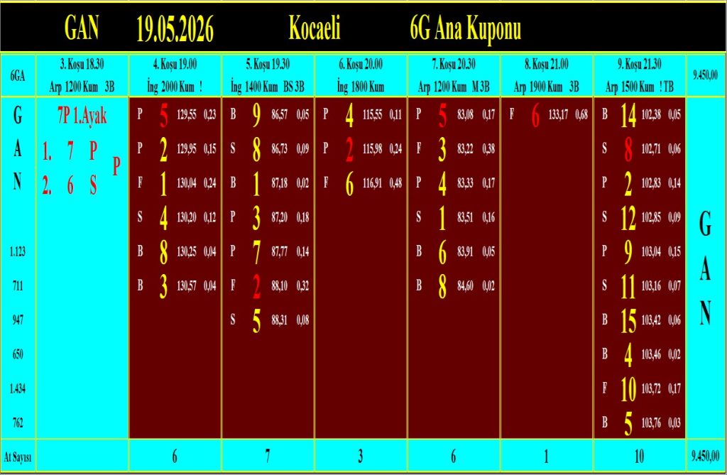 Kocaeli GAN analiz çıktısı