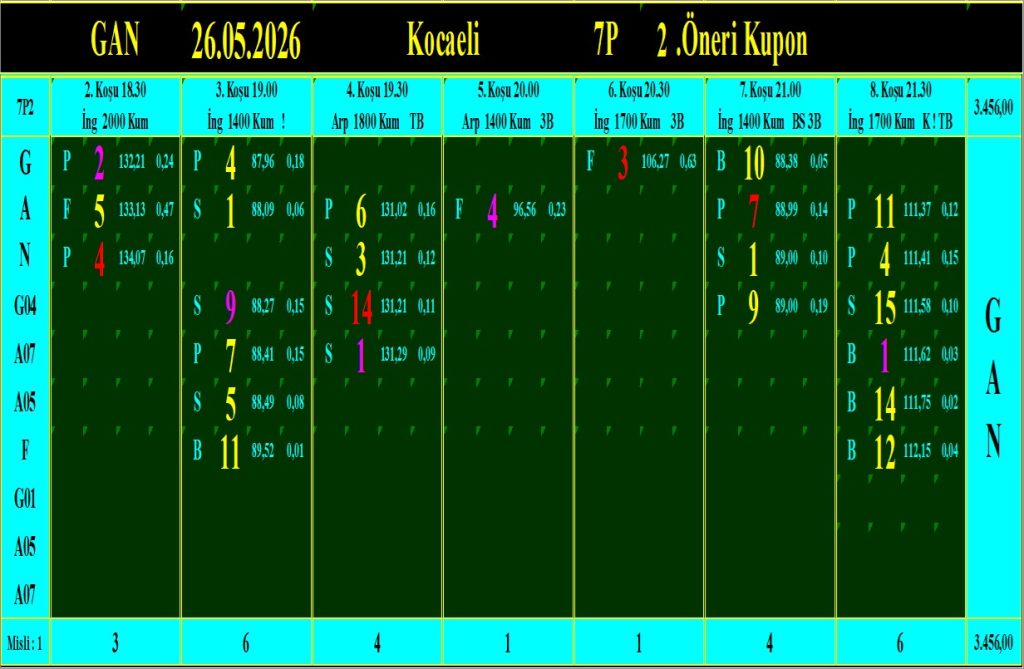 Kocaeli GAN analiz çıktısı