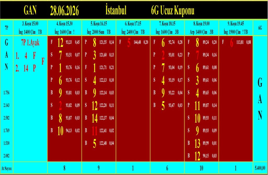 İstanbul GAN analiz çıktısı