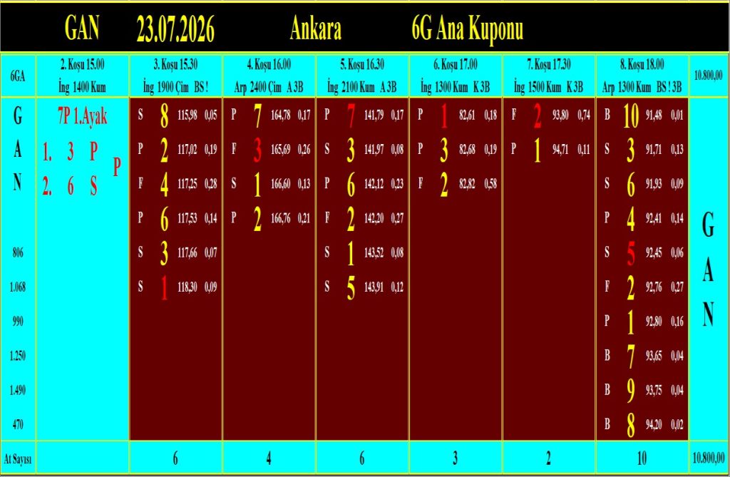 Ankara GAN analiz çıktısı
