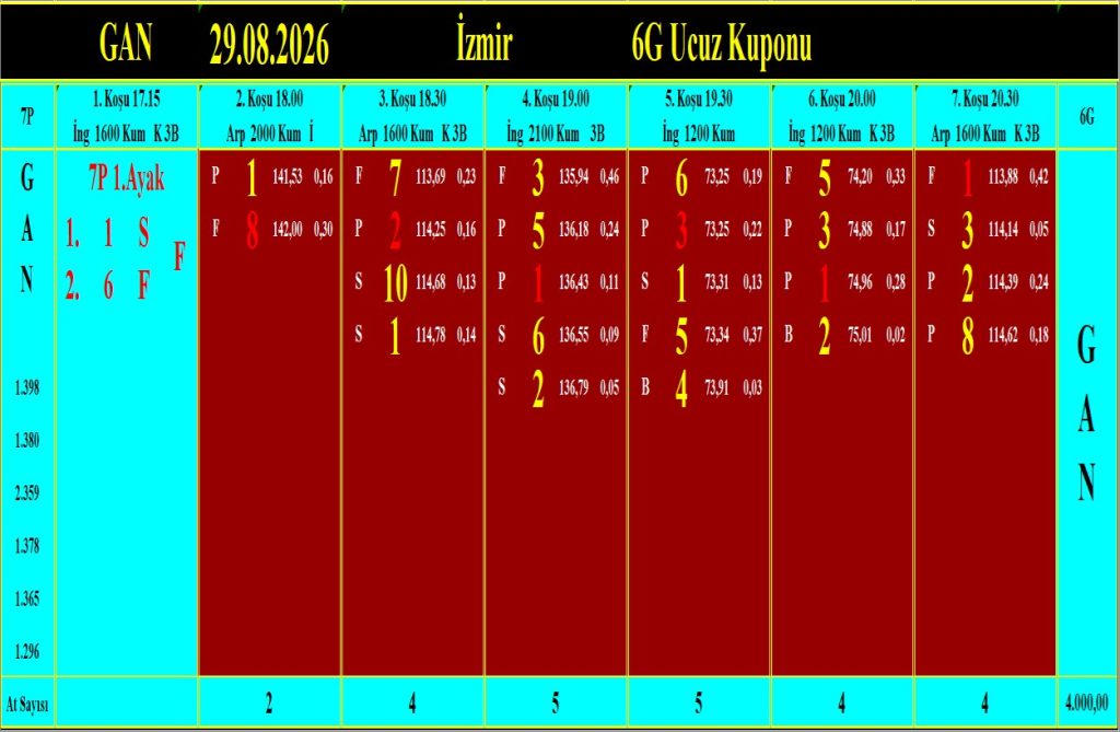İzmir GAN analiz çıktısı